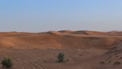 landscape,nature,desert