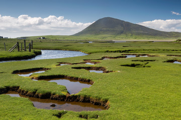 Fototapeta premium Scottish scenery and saltings