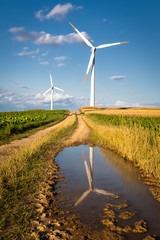 Windrad mit Spiegelung in Pfütze
