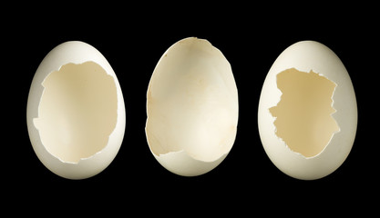 Three empty eggs