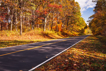 Obraz premium Fall Colors on a scenic road