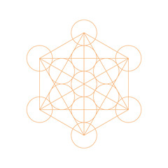 Metatrons Cube - Flower of Life. Vector