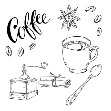 Coffee beans, cup, grunder and spice sketch. Hand lettering. Hand drawn vector illustration.