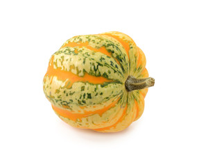 Green and yellow striped Festival squash