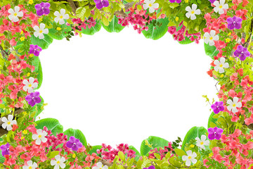 Obraz premium Beautiful green leaves frame with flower on white background