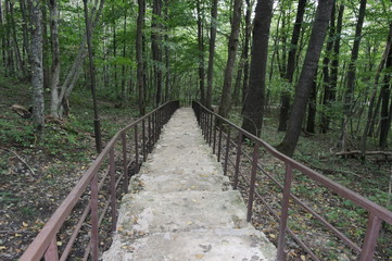 Fototapeta premium лестница в горах адыгеи