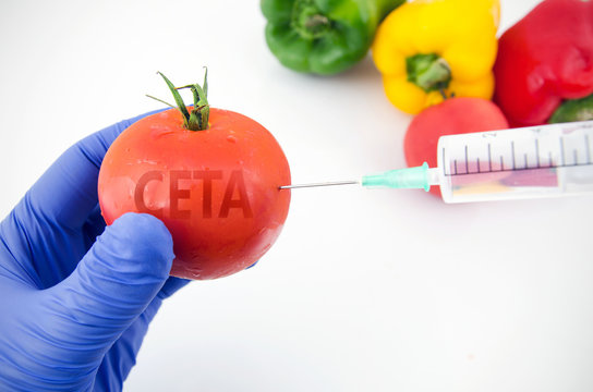 CETA free-trade agreement and GMO fruits and vegetables