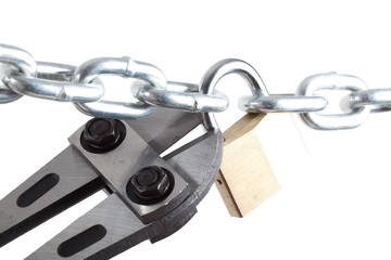 Bolt Cutter and Lock