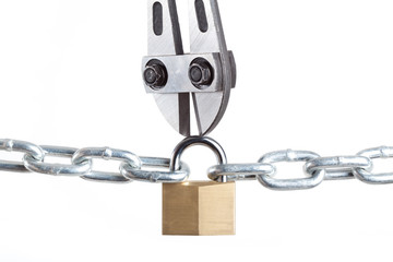 Bolt Cutter cutting