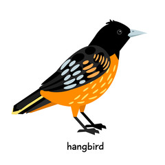 Image of nice hangbird