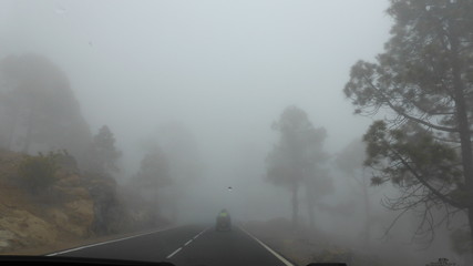 Gruslige Straße im Nebel