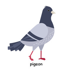 Image of nice Dove 