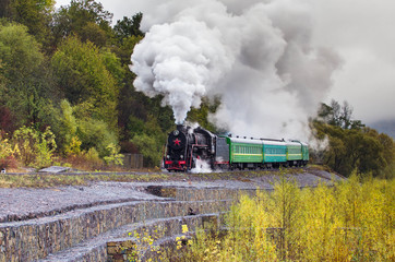Fototapeta na wymiar Steam train on the viaduct in the mountains