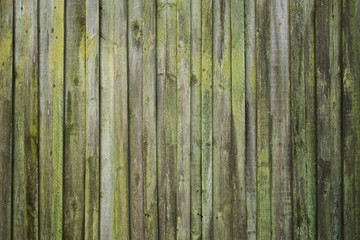 Fototapeta premium Texture of old wooden fence