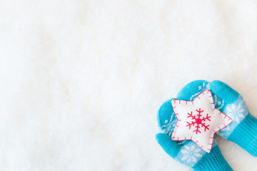 Obraz na płótnie Canvas Christmas Xmas Winter Holiday Concept