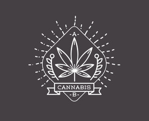 Medical Cannabis Marijuana Sign or Label Template in Vector. Can