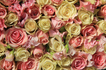 Fototapeta na wymiar White and pink roses in wedding arrangement