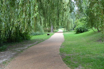 Garden, Path, Nature 