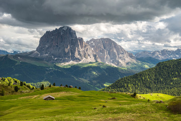 Obraz premium Sassolungo mountain, Dolomites