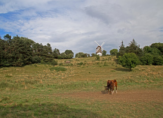 Vester Mølle auf Ærø in Dänemark
