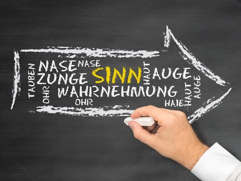 Sinn (Wahrnehmung)