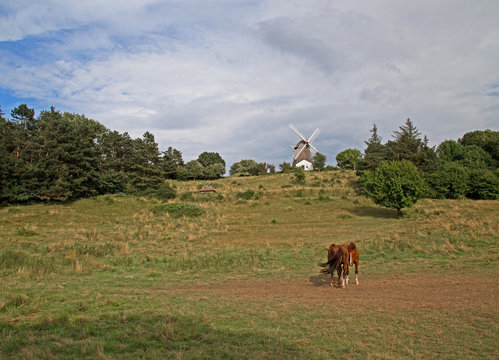 Vester M&oslash;lle auf &AElig;r&oslash; in D&auml;nemark