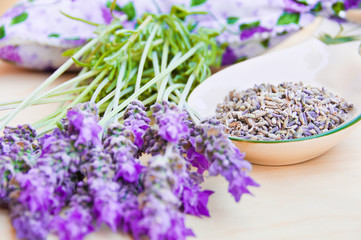 Lavender fresh and dry flowers 