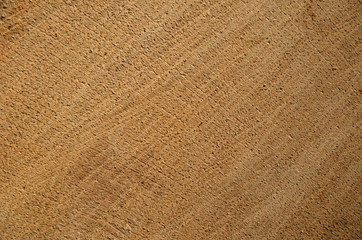 Texture of wood
