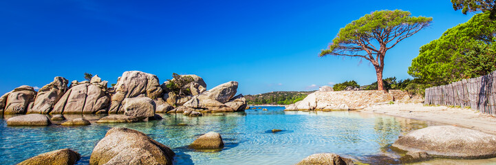 Berühmte Kiefer und die Lagune am Strand von Palombaggia, Korsika, Frankreich, Europa.