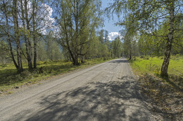 Fototapeta premium Dirt road in the mountainous Altai, Russia.