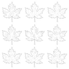 hand drawn vector set of doodle leaves