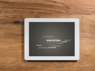 Soziales Netzwerk (Soziologie)