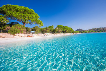 Plage de sable de Santa Gulia avec pins et eau claire azur, Corse, France, Europe