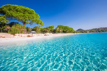 Crédence de cuisine en verre imprimé Plage et mer Plage de sable de Santa Gulia avec pins et eau claire azur, Corse, France, Europe