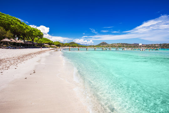 Santa Gulia sandy beach with pine trees and azure clear water, Corsica, France, Europe