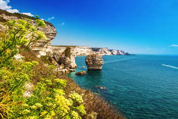 Bonifacio town on beautiful white rock cliff with sea bay, Corsica, France, Europe