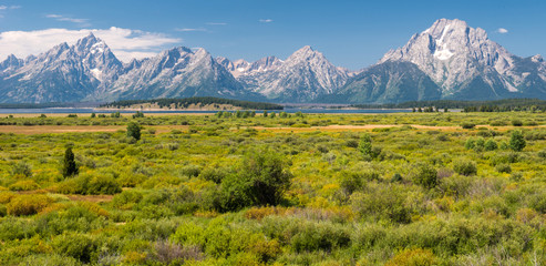 Fototapeta premium Grand Teton National Park, Wyoming