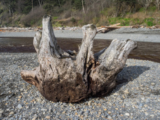 Ruby Beach Washington State