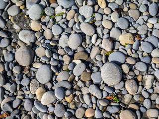 Ruby Beach Washington State