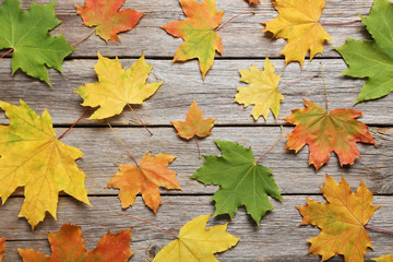 Autumn leafs on grey wooden table