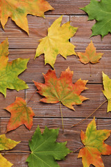 Autumn leafs on brown wooden table