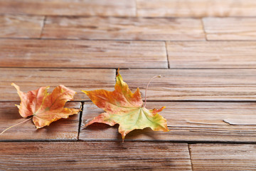 Obraz premium Autumn leaf on brown wooden table