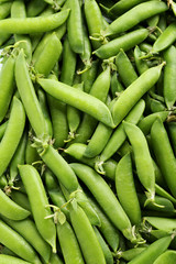 Fresh green peas background, close up