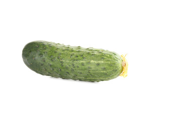 Fresh cucumber isolated on a white background