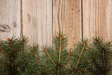 Christmas fir tree branches on  wooden background