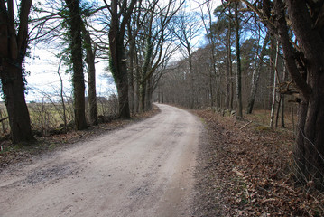Winding gravel road