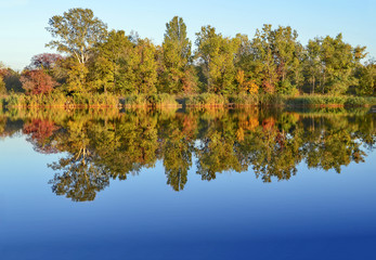 Осенний пейзаж. Желтеющие деревья возле реки Самара. Отражение в воде. Украина