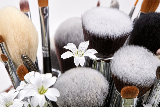 Makeup brushes set with flowers. Chickweed. White background