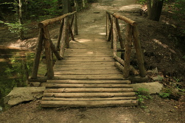 Obraz premium forest bridge