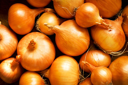 Fresh golden onion background 